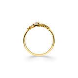 Ring Caelum