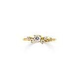 Ring Caelum