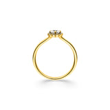 Ring Luna