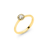 Ring Luna