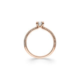 Ring Nitor