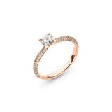 Ring Nitor