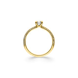 Ring Nitor