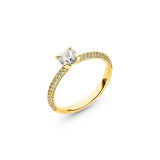 Ring Nitor