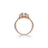 Ring Pulchra