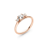 Ring Pulchra