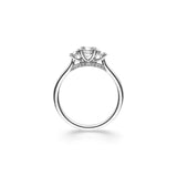 Ring Pulchra