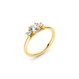 Ring Pulchra