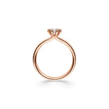 Ring Sidus