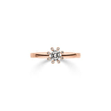 Ring Sidus