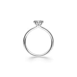 Ring Sidus