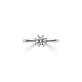 Ring Sidus