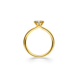 Ring Sidus