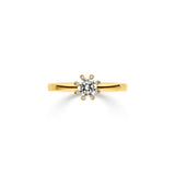Ring Sidus