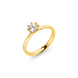 Ring Sidus