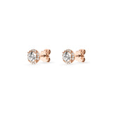 Solis Studs
