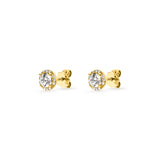 Solis Studs