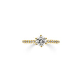 Ring Vinculum