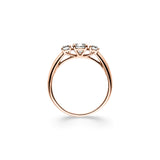 Ring Vitrus