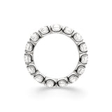 Eternity Ring Stellar - aloé