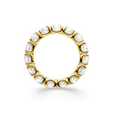 Eternity Ring Stellar - aloé