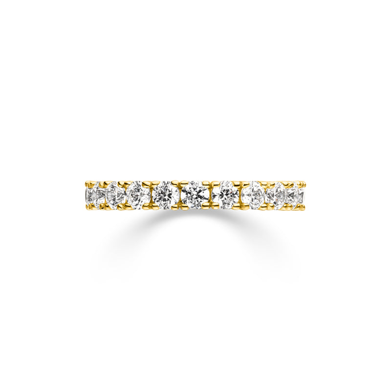 Eternity Ring Fortuna - aloé