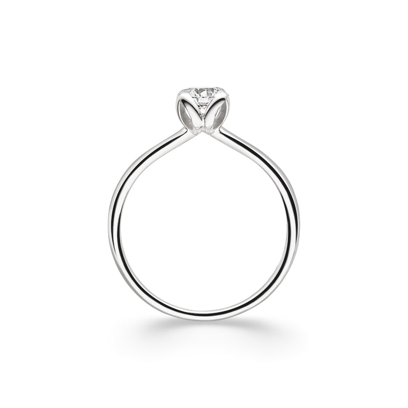 Solitaire Ring Angulus - aloé
