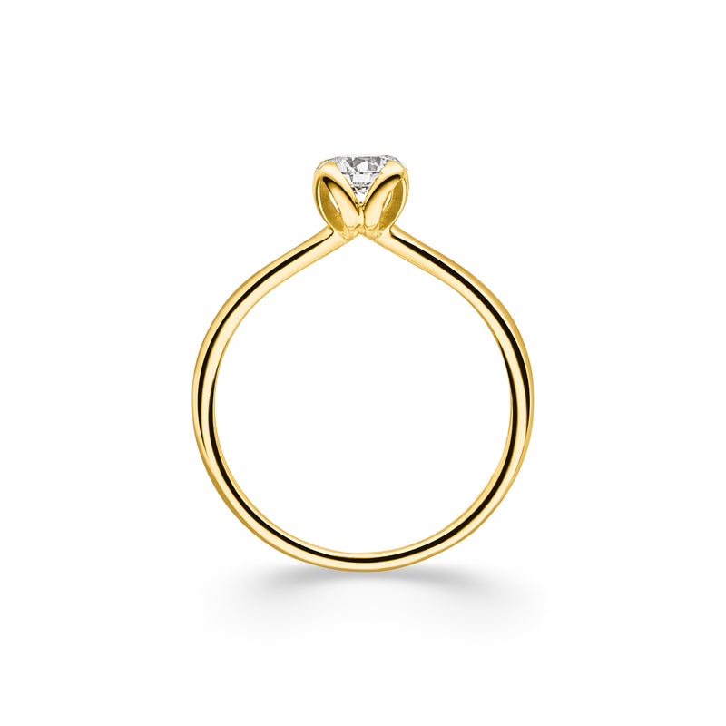 Solitaire Ring Angulus - aloé