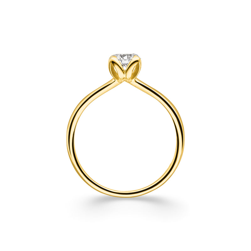 Solitaire Ring Angulus - aloé