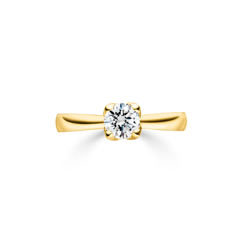 Solitaire Ring Angulus - aloé